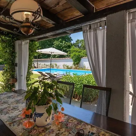 K2n فيلة بوريتش