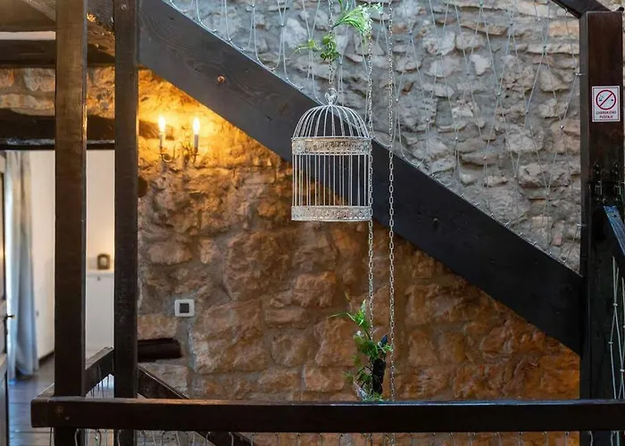 K2n فيلة بوريتش